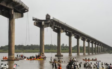 At Least 11 Dead, Several Injured as Bridge Collapses in Gujarat's Vadodara; PM Modi, Gujarat CM Announce Compensation