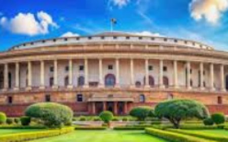 The provision could be misused to target political opponents