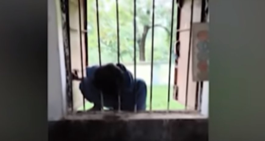 Class-II Student Spends Entire Night Trapped in School Window