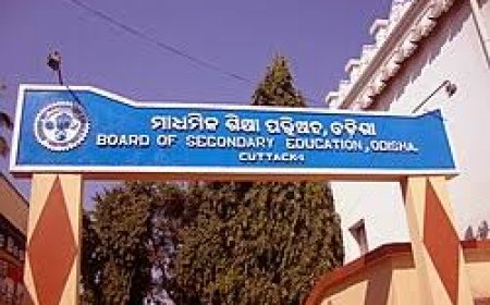 BSE ODISHA CLASS 10 ENGLISH GRAMMAR SOLUTION