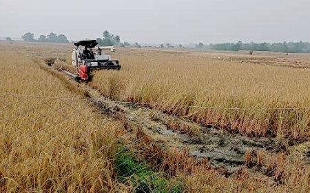 Farmers Not Registering for CM Kisan, Thousands of Cards at Risk