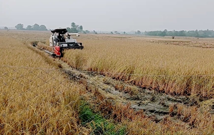 Farmers Not Registering for CM Kisan, Thousands of Cards at Risk