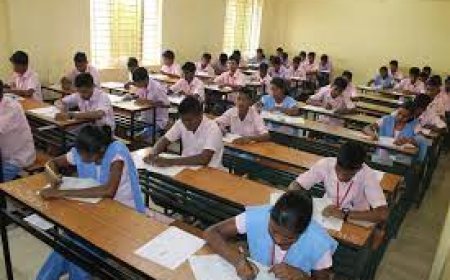 CHSE Introduces Improvement Exam for Plus II Students; Chance to Boost Marks in One Subject