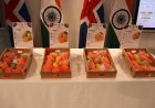 Indian Mangoes Debut in Iceland with APEDA Promotion