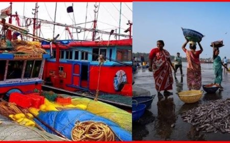 Odisha Deep Sea Fishing Mission to Boost Blue Economy, Fisher Livelihoods