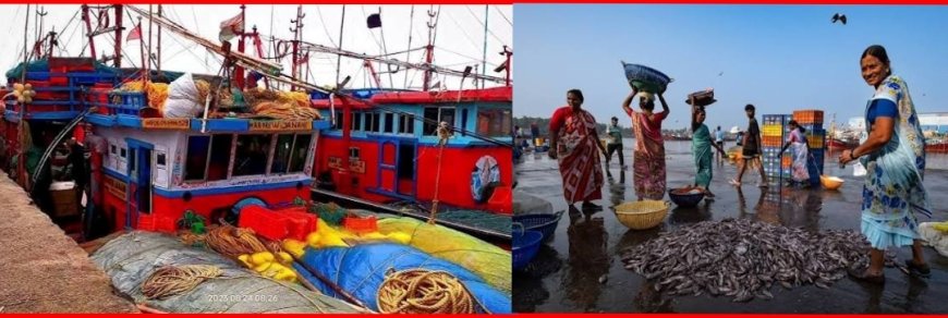 Odisha Deep Sea Fishing Mission to Boost Blue Economy, Fisher Livelihoods