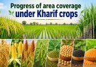 Kharif Sowing Reaches 968 Lakh Hectares