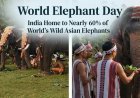 India Home to Nearly 60% of World’s Wild Asian Elephants