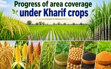 Kharif Sowing Reaches 968 Lakh Hectares