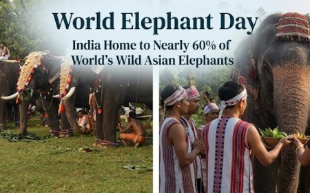 India Home to Nearly 60% of World’s Wild Asian Elephants