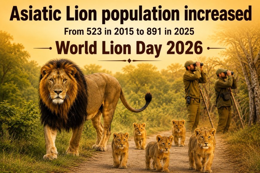 Asiatic Lion Population Rises to 891 in 2025