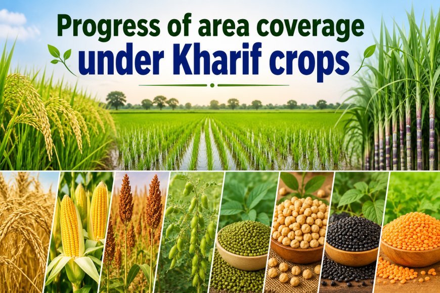 Kharif Sowing Reaches 968 Lakh Hectares