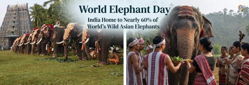 India Home to Nearly 60% of World’s Wild Asian Elephants