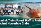 Bhadrak Trains Forest Staff to Protect Ancient Horseshoe Crabs