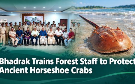 Bhadrak Trains Forest Staff to Protect Ancient Horseshoe Crabs