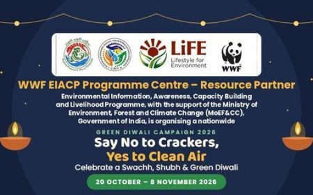 Green Diwali Campaign 2026: WWF-India Urges Crackers-Free Diwali