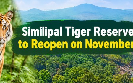 Similipal Tiger Reserve Reopens November 1