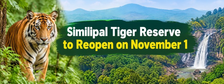Similipal Tiger Reserve Reopens November 1